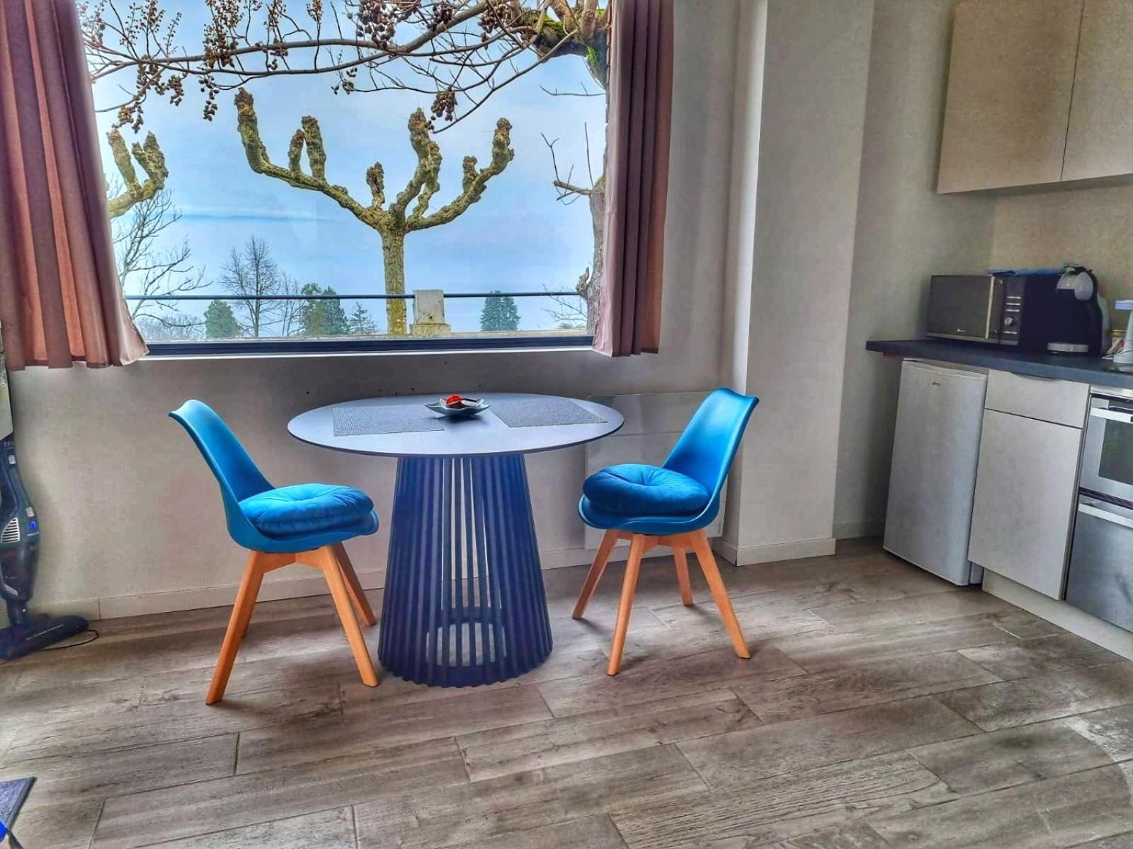 Studios Vue Lac Leman Thonon-les-Bains Exterior foto